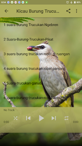 Detail Suara Trucukan Garuda Nomer 43