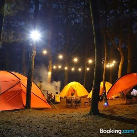 Detail Suasana Camping Malam Hari Nomer 22