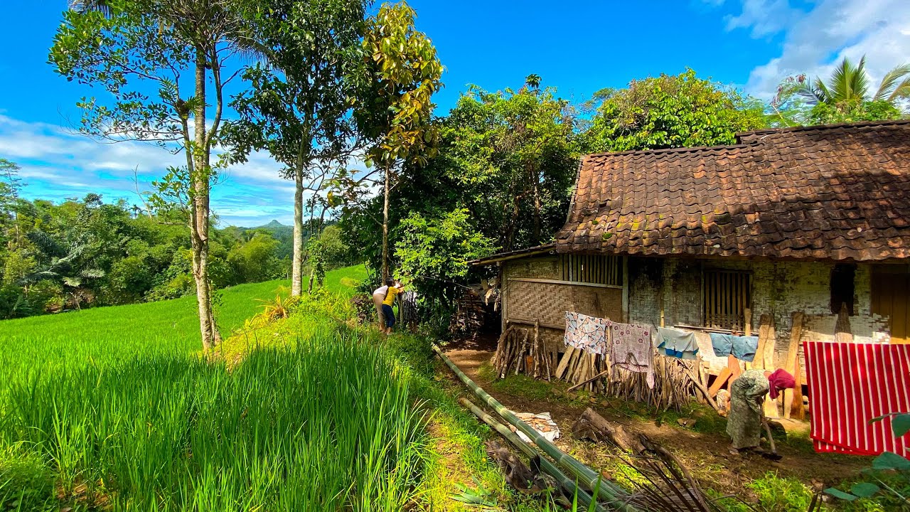 Suasana Kampung Pedesaan - KibrisPDR