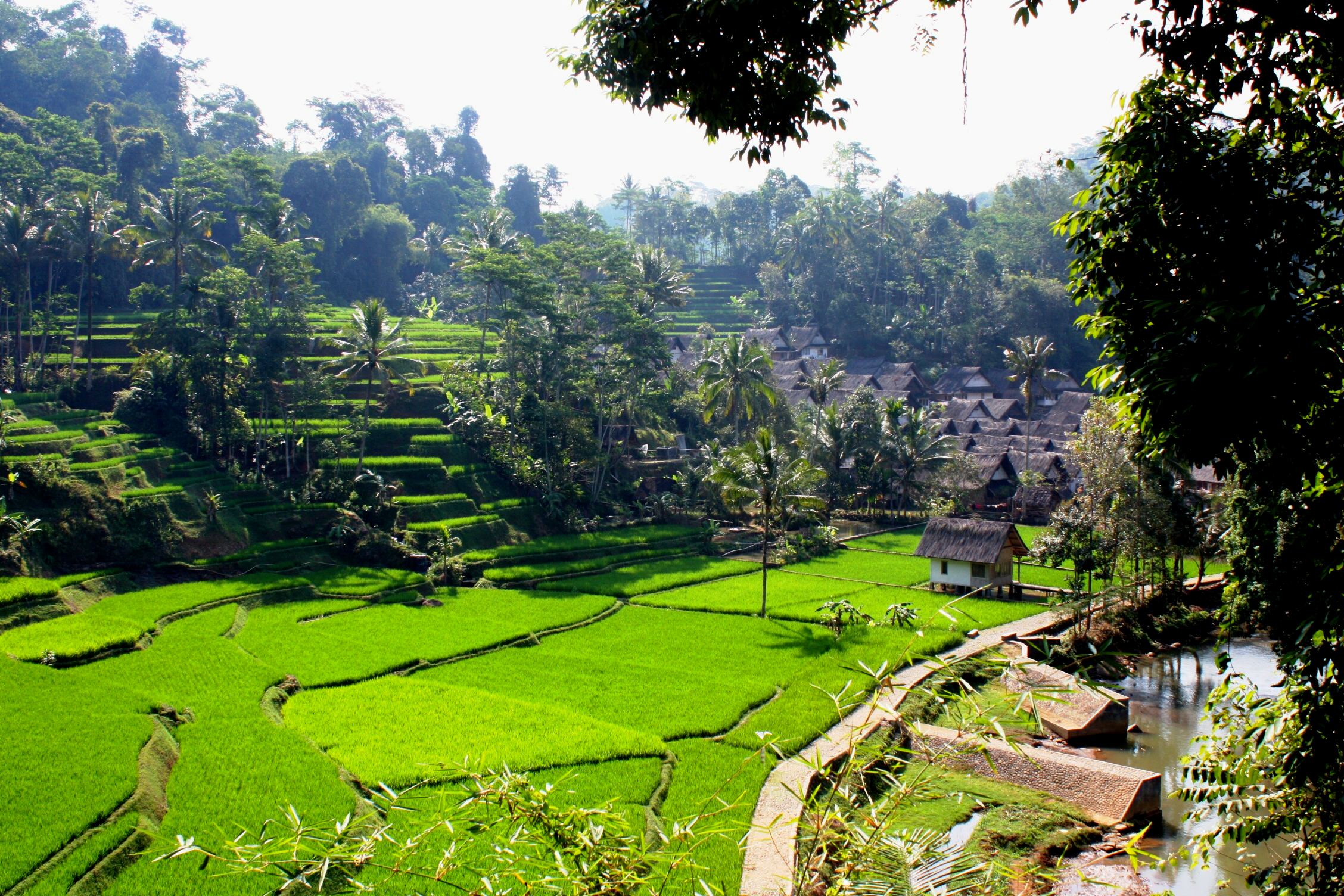 Detail Suasana Kampung Pedesaan Nomer 30