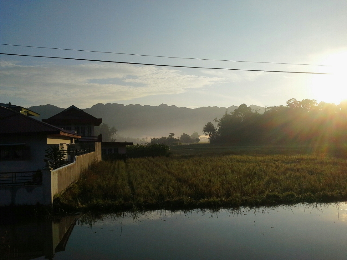 Detail Suasana Pagi Hari Di Desa Nomer 5