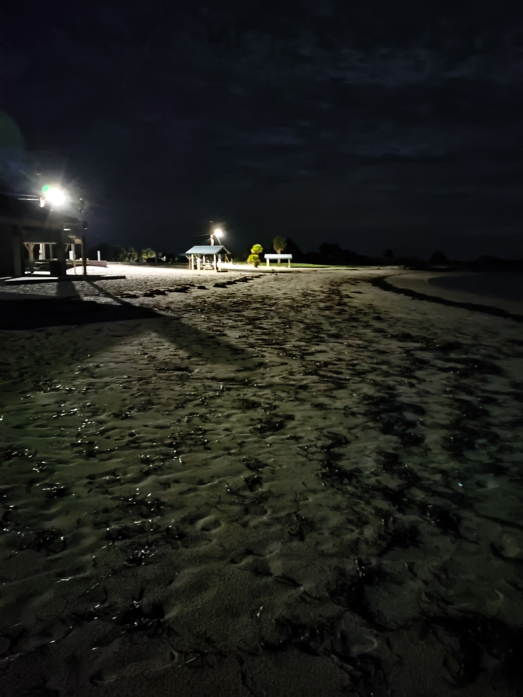 Detail Suasana Pantai Malam Hari Nomer 23