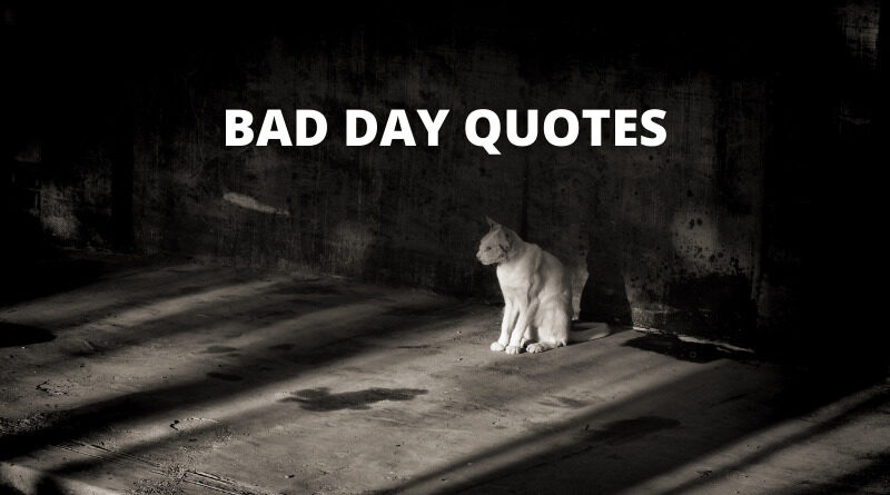 Detail Such A Bad Day Quotes Nomer 44
