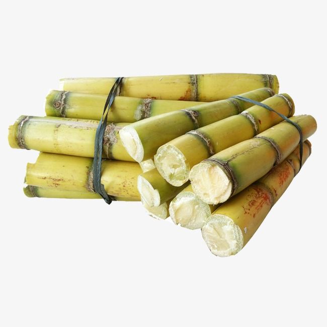 Detail Sugar Cane Png Nomer 20