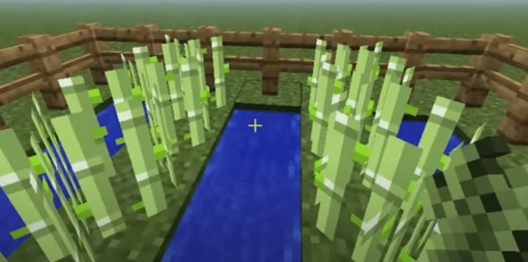 Detail Sugar Cane Seeds Minecraft Nomer 3