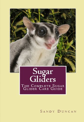 Detail Sugar Glider 101 Nomer 18