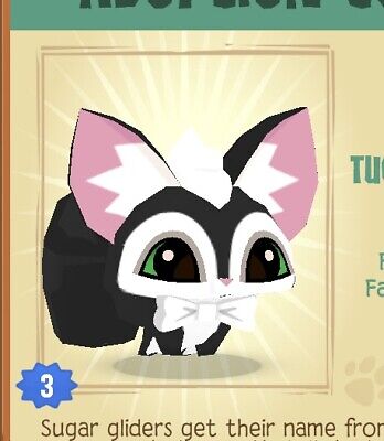 Detail Sugar Glider Animal Jam Nomer 31