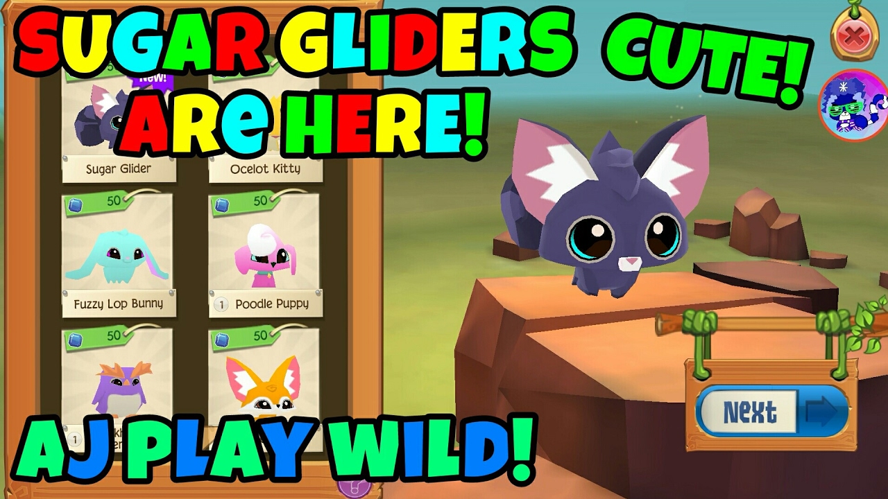 Download Sugar Glider Animal Jam Nomer 5