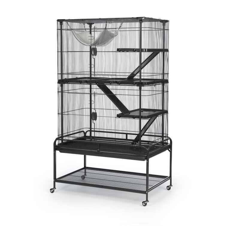 Detail Sugar Glider Cage Amazon Nomer 38