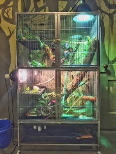 Detail Sugar Glider Cages Ebay Nomer 28