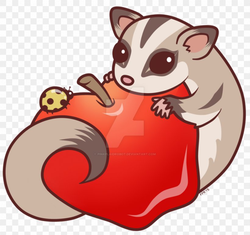 Detail Sugar Glider Clip Art Nomer 11