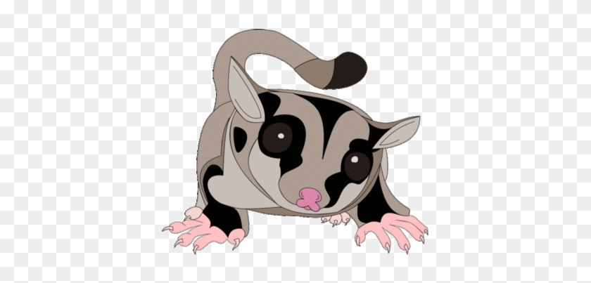 Detail Sugar Glider Clip Art Nomer 29