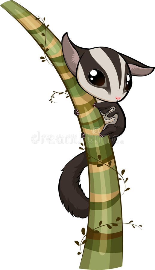 Detail Sugar Glider Clip Art Nomer 38