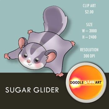 Detail Sugar Glider Clip Art Nomer 45