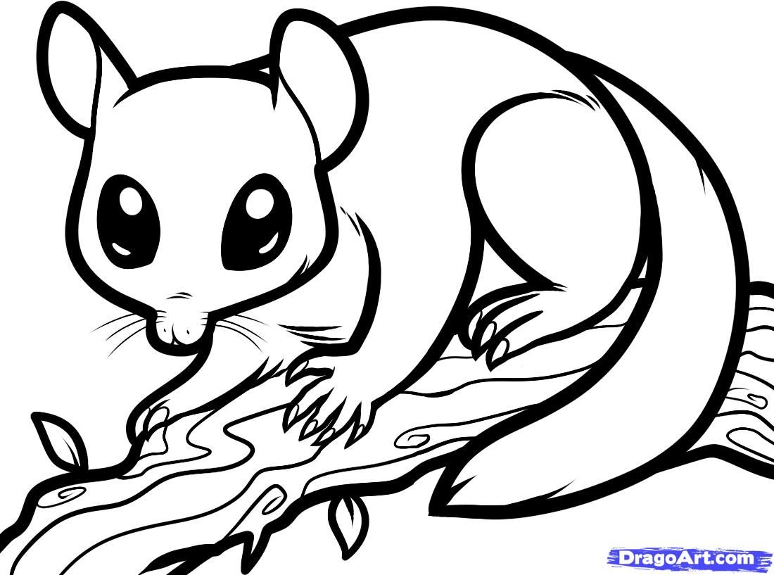 Detail Sugar Glider Clipart Nomer 32