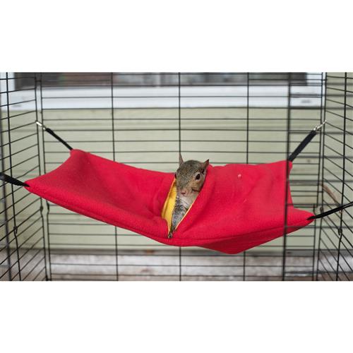 Detail Sugar Glider Hammock Nomer 50