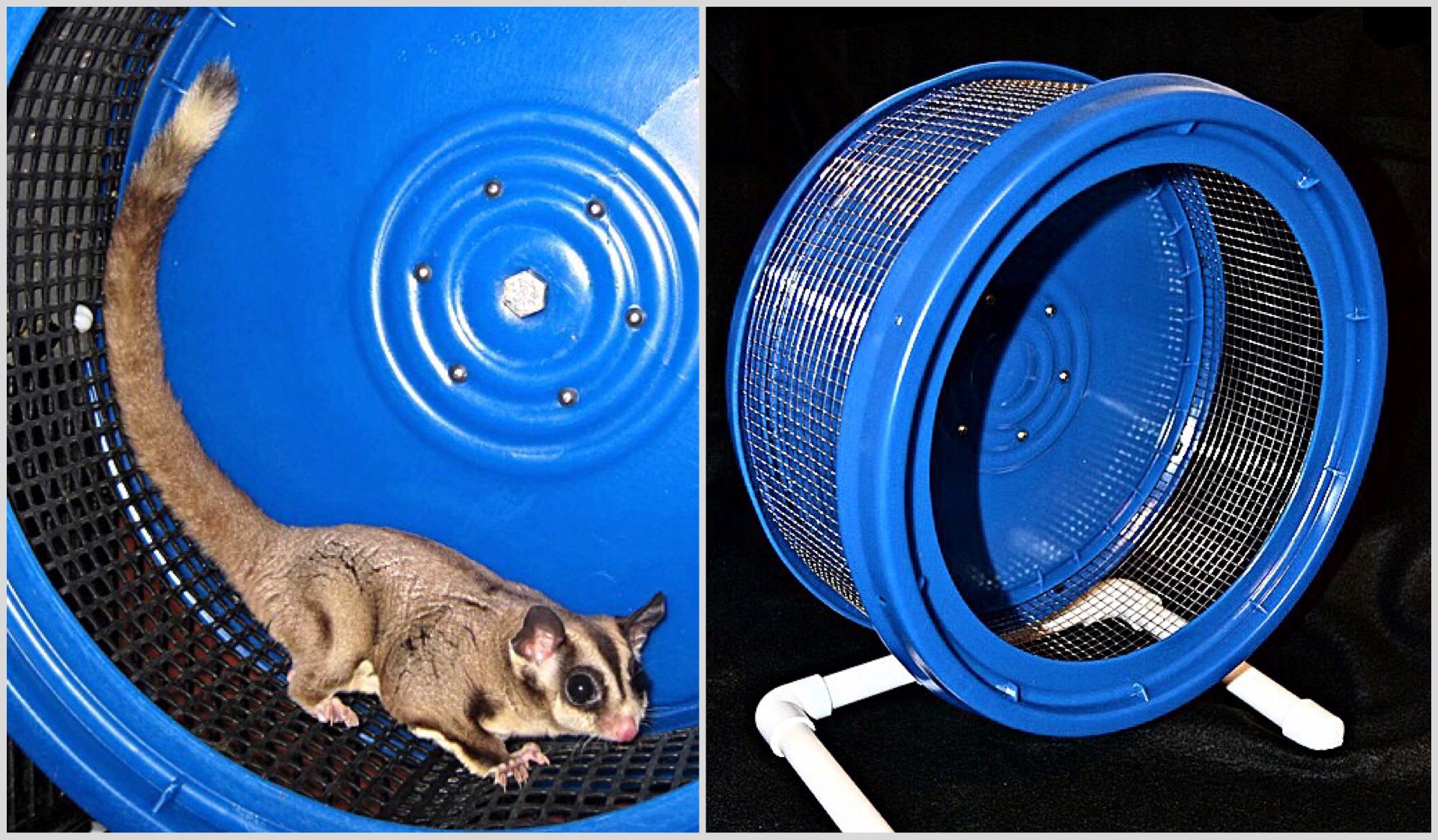 Detail Sugar Glider Running Wheel Nomer 13