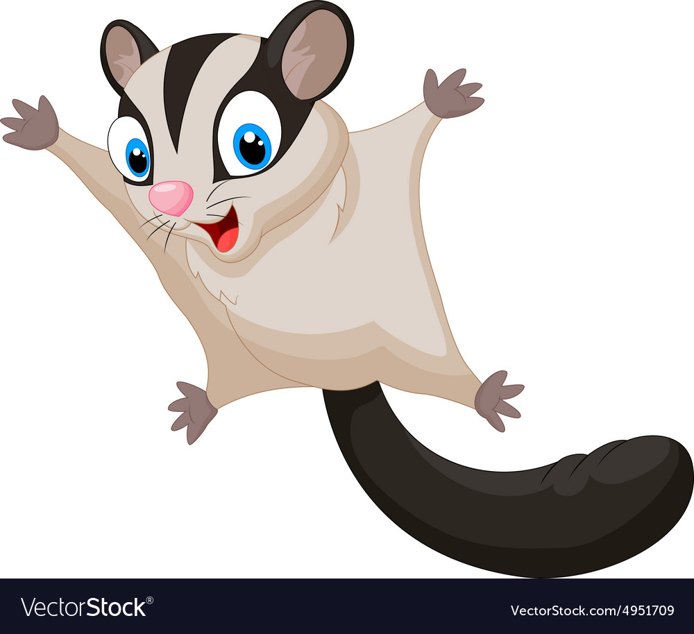 Detail Sugar Glider Vector Nomer 3