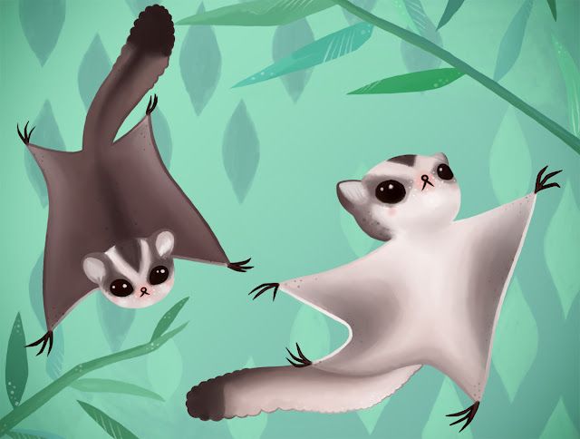 Detail Sugar Glider Wallpaper Nomer 16