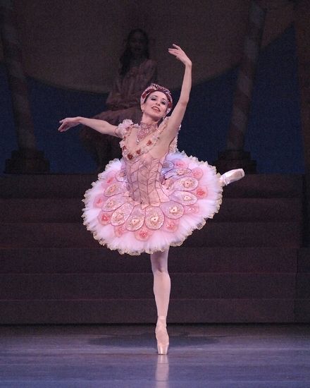 Detail Sugar Plum Fairy Ballet Costume For Sale Nomer 18