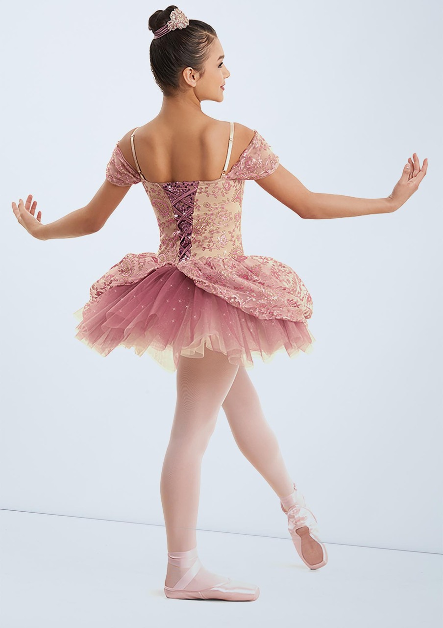 Detail Sugar Plum Fairy Halloween Costume Nomer 48