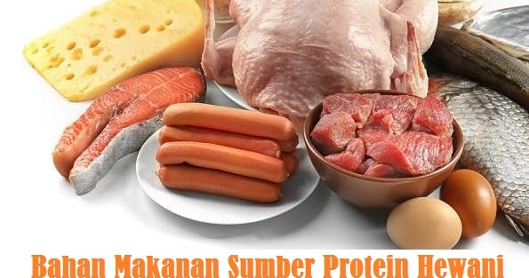 Detail Sumber Makanan Hewani Nomer 38