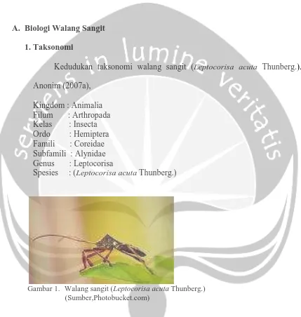 Detail Sumber Photobucket Com Nomer 34