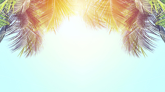 Detail Summer Backgrounds Nomer 8