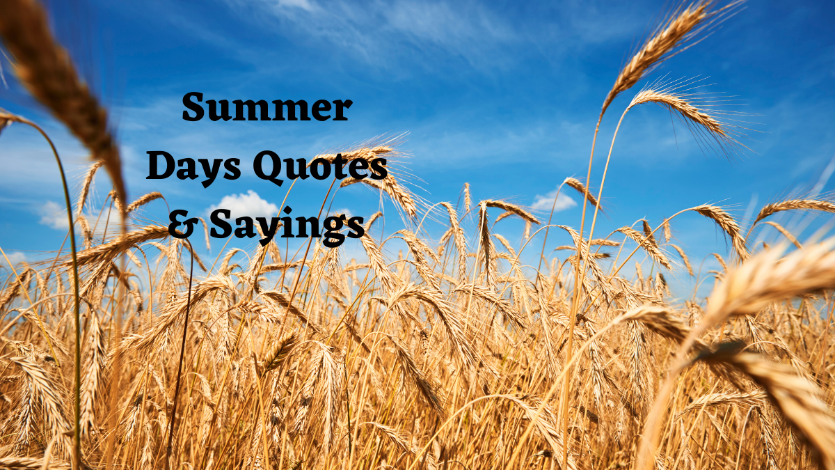 Detail Summer Days Quotes And Sayings Nomer 40