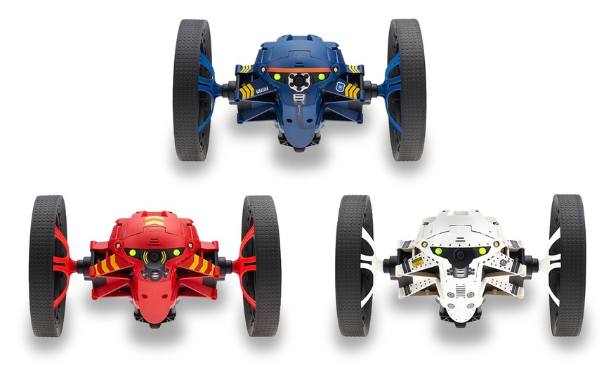 Detail Sumo Parrot Nomer 11