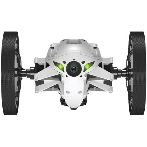Detail Sumo Parrot Nomer 15