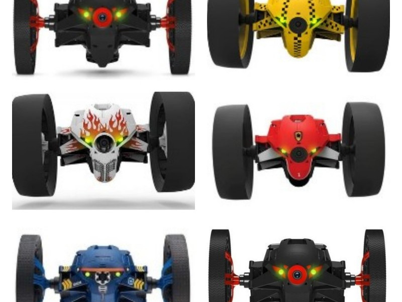 Detail Sumo Parrot Nomer 16