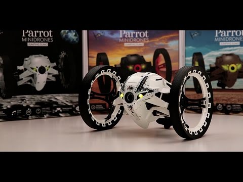 Detail Sumo Parrot Nomer 19