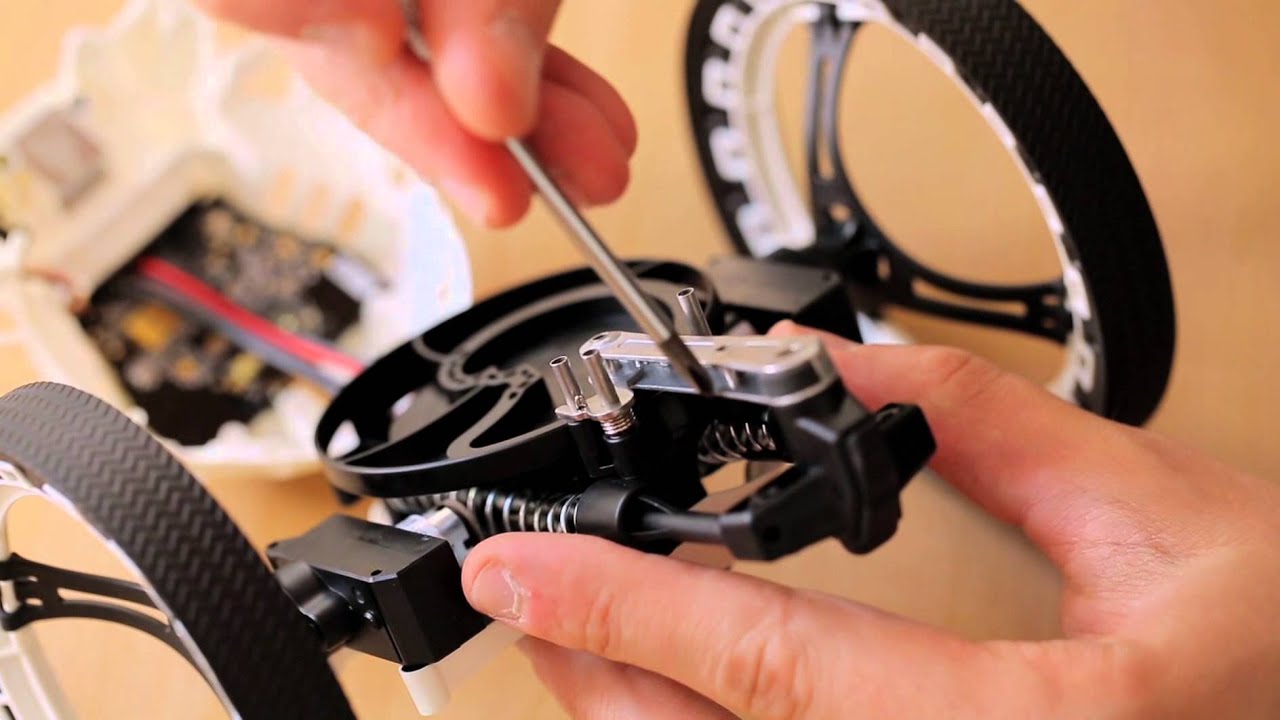 Detail Sumo Parrot Nomer 22