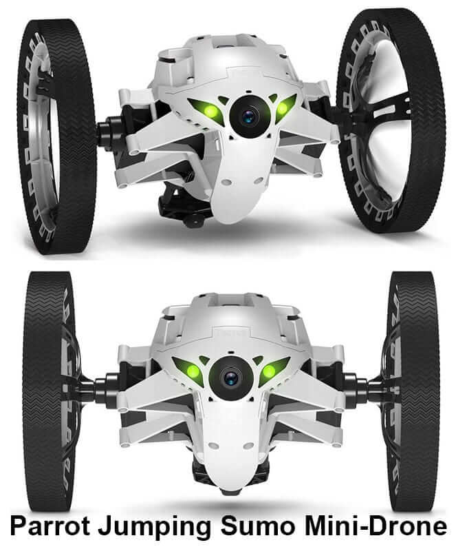 Detail Sumo Parrot Nomer 27