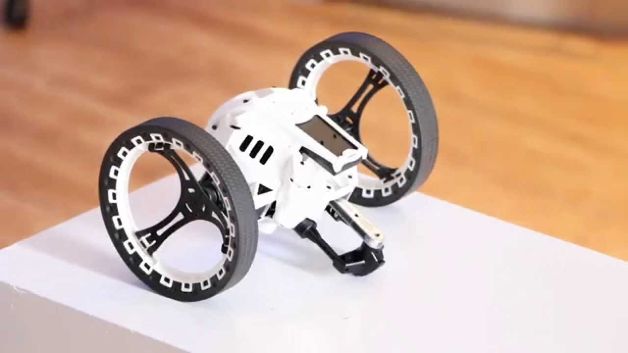 Detail Sumo Parrot Nomer 35