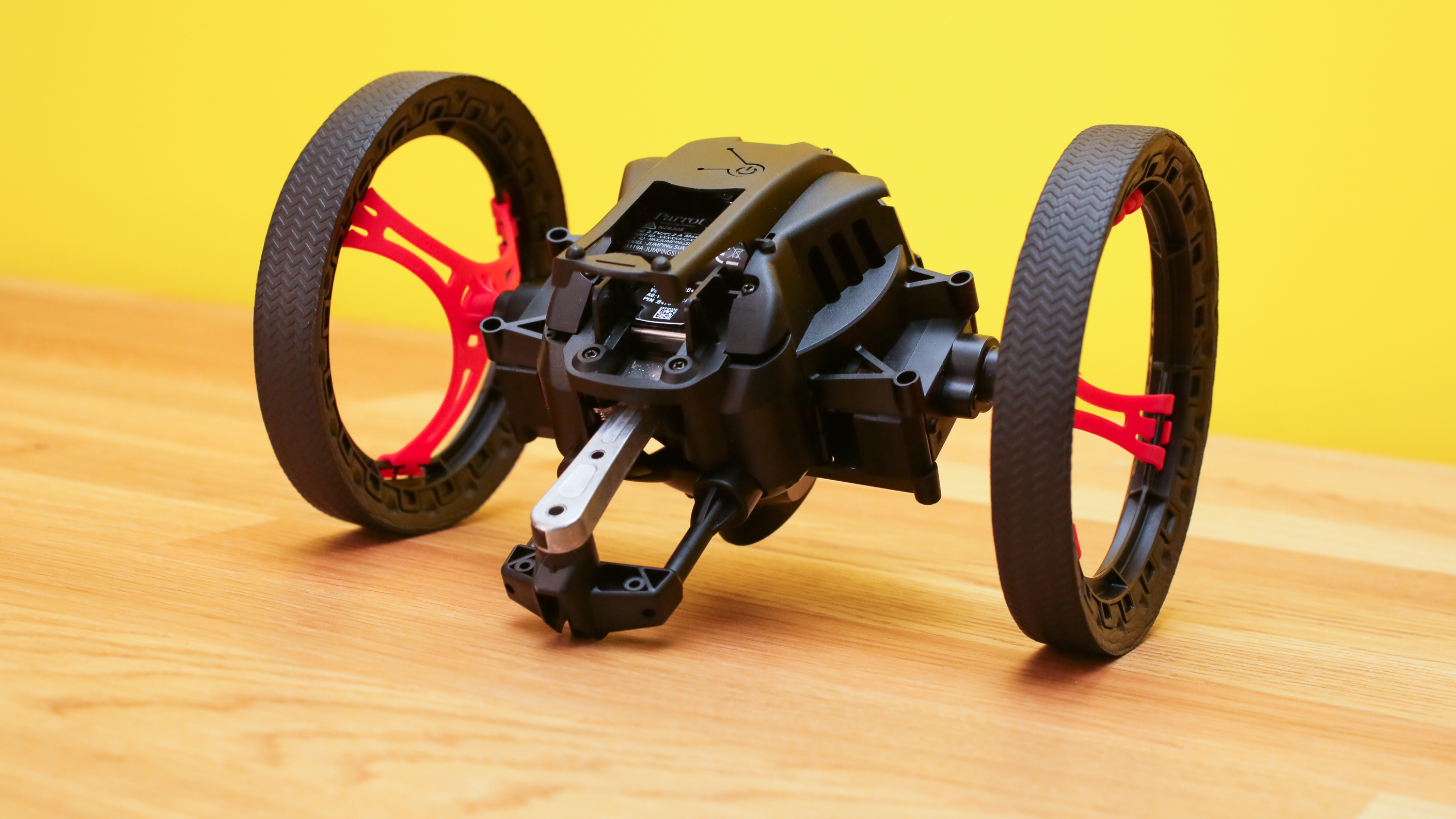 Detail Sumo Parrot Nomer 4