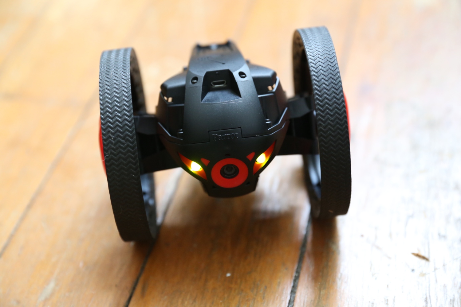 Detail Sumo Parrot Nomer 39