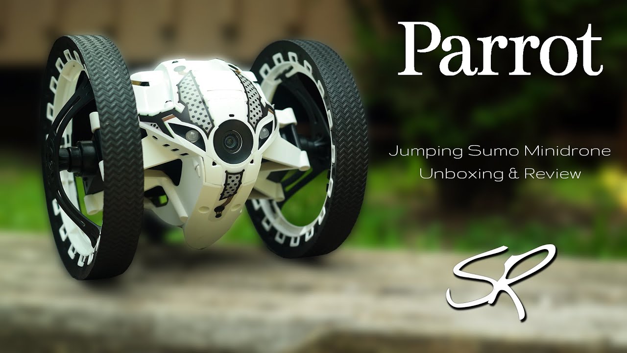 Detail Sumo Parrot Nomer 45