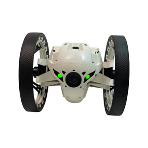Detail Sumo Parrot Nomer 53