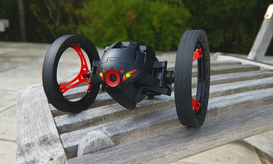 Detail Sumo Parrot Nomer 56