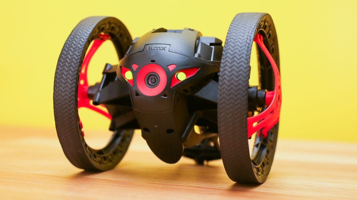 Detail Sumo Parrot Nomer 6