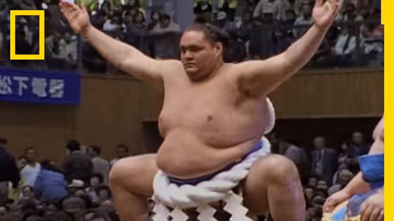 Detail Sumo Wrestler Pic Nomer 16