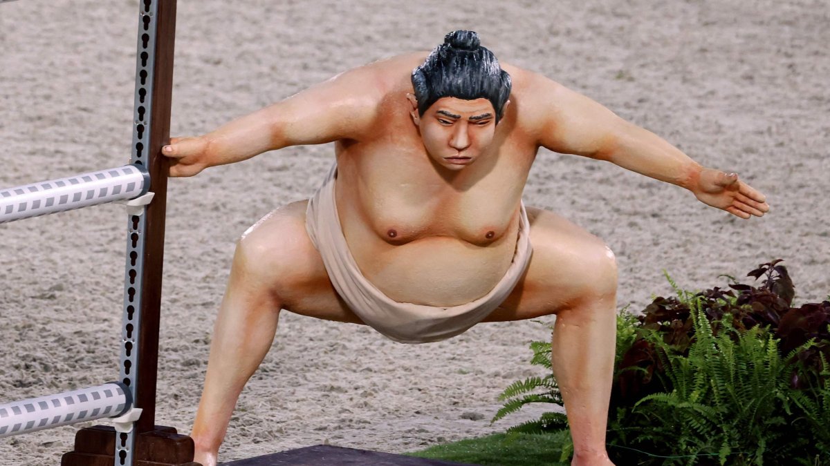 Detail Sumo Wrestler Pic Nomer 19