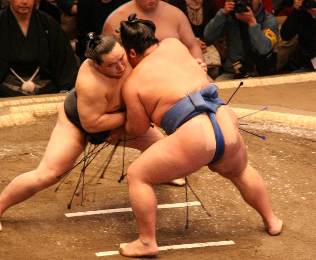 Detail Sumo Wrestler Pic Nomer 22