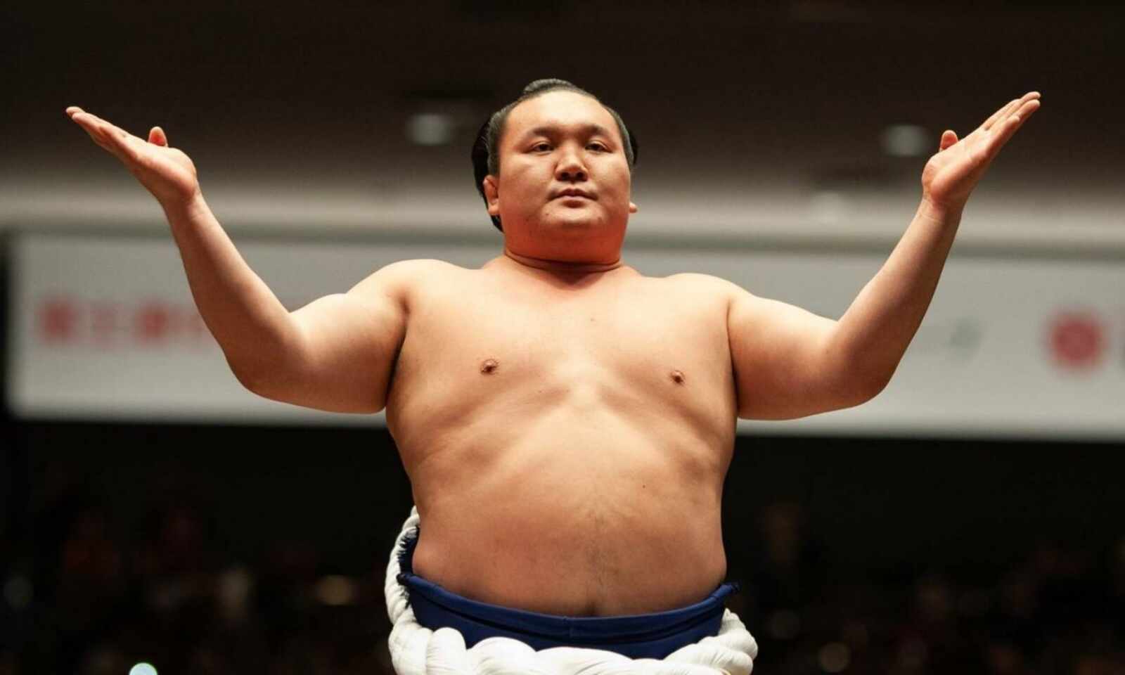 Detail Sumo Wrestler Pic Nomer 28