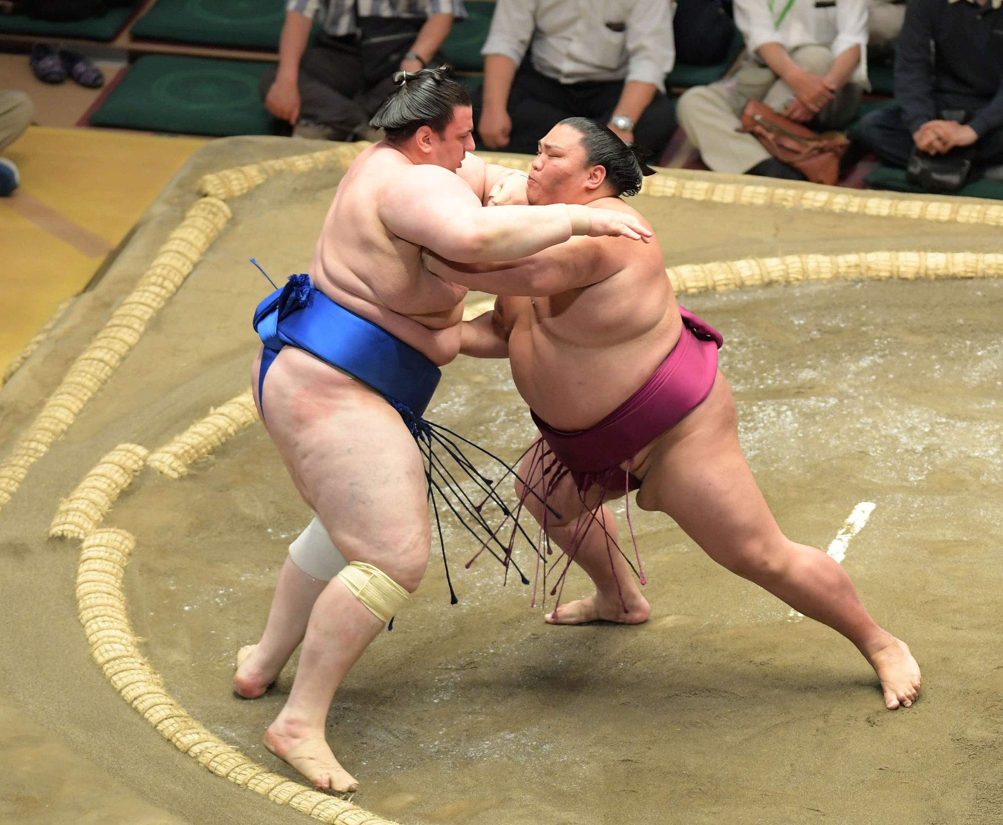 Detail Sumo Wrestler Pic Nomer 31