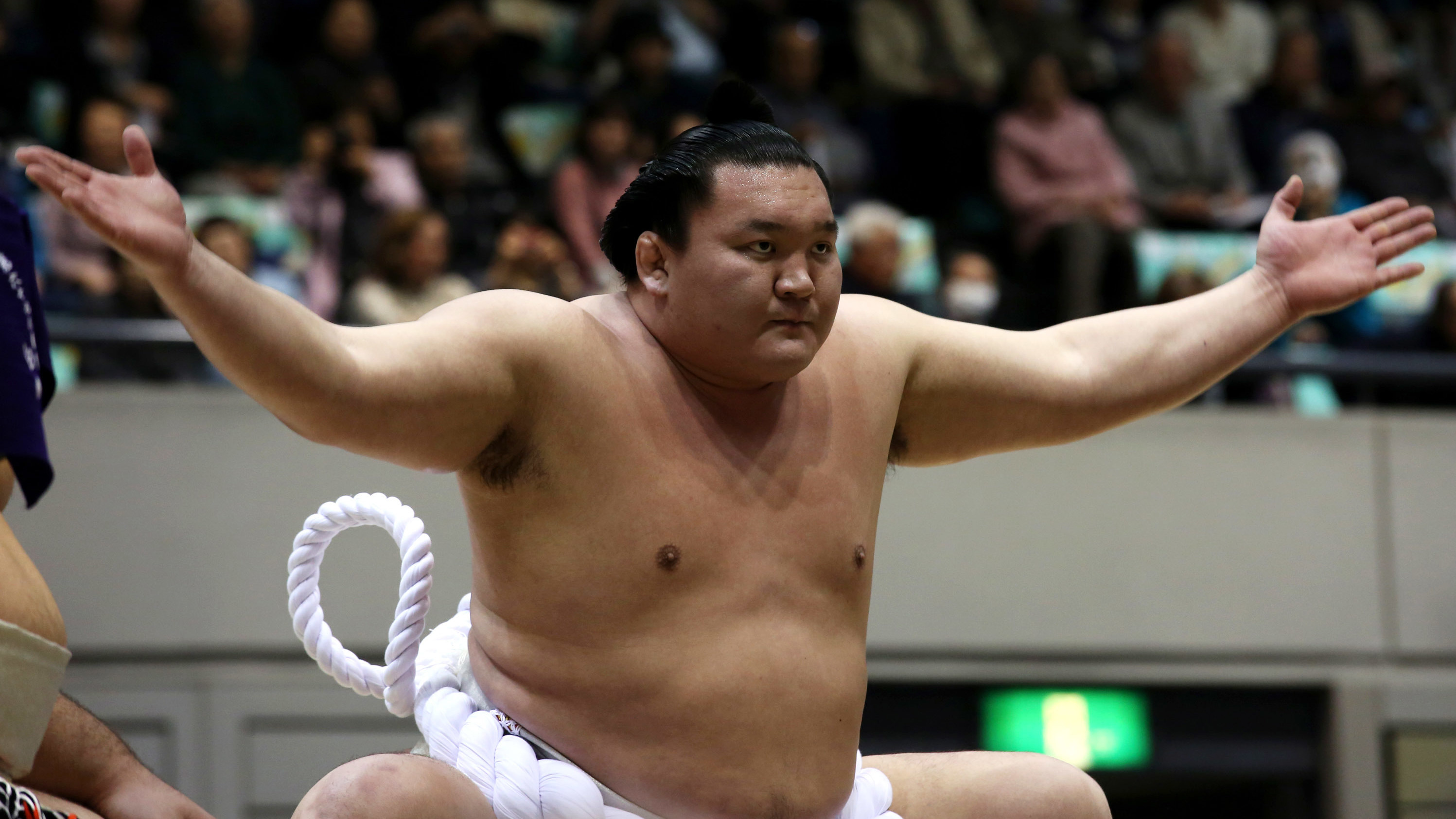 Detail Sumo Wrestler Pic Nomer 33