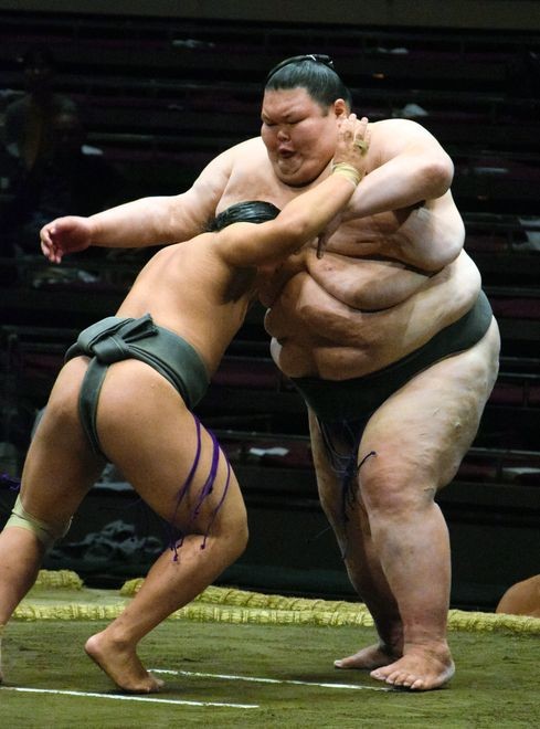 Detail Sumo Wrestler Pic Nomer 35