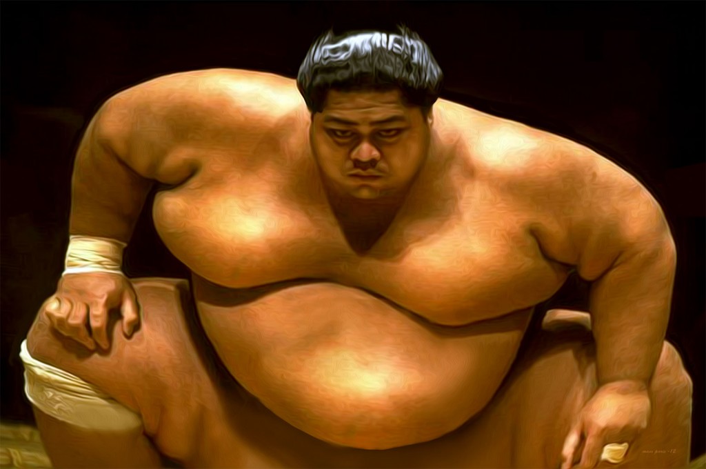 Detail Sumo Wrestler Pic Nomer 5